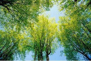 Fami通新一周销量榜 《使命召唤21》第四